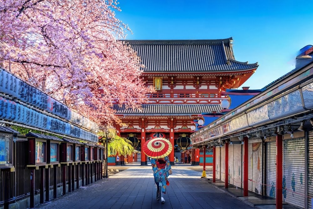 Best Time to Visit Japan