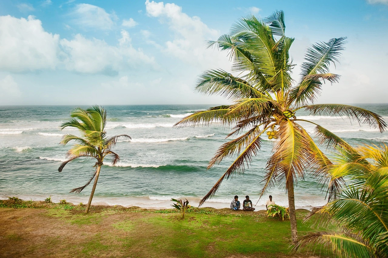 Best Time to Visit Sri Lanka