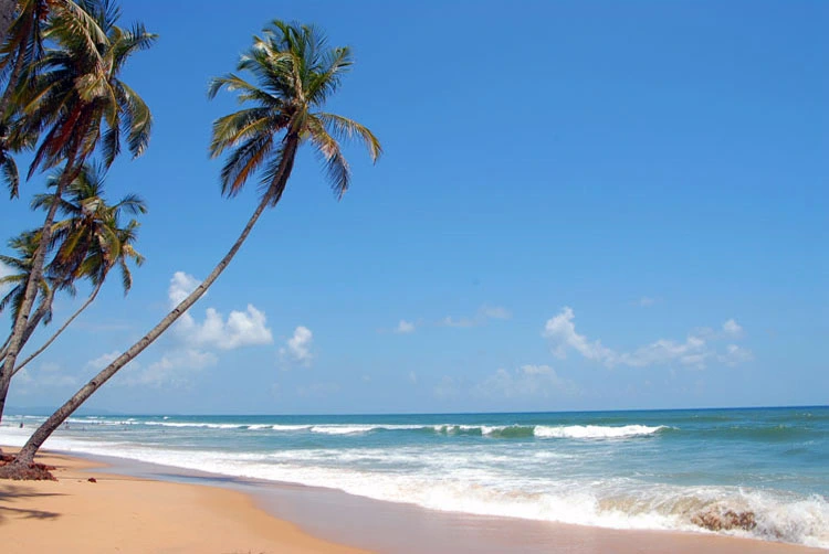 Top 5 beaches in Goa