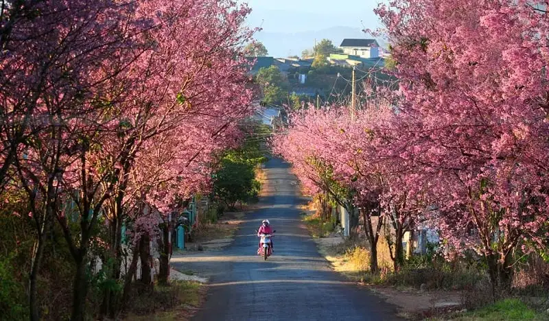 Best time to visit Vietnam