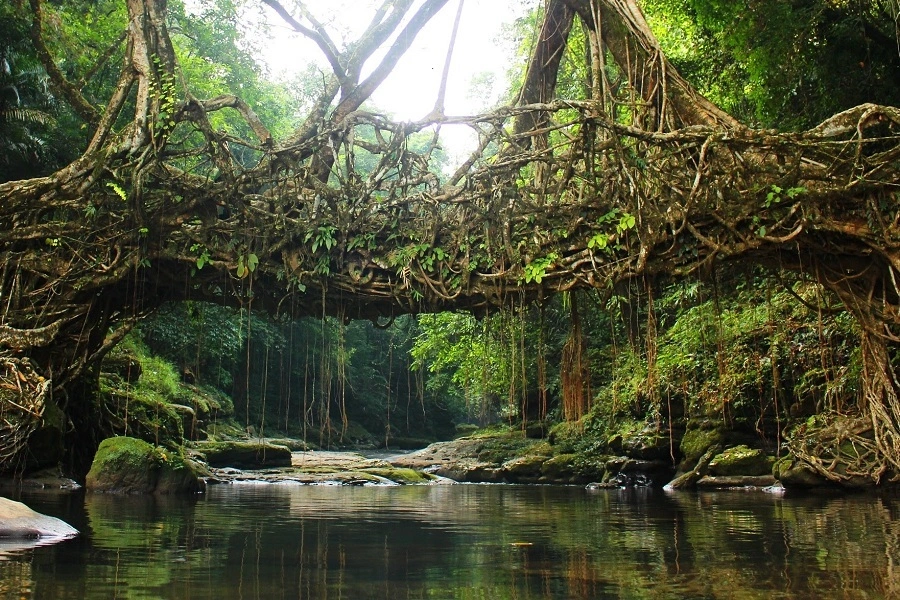 Mawlynnong: The cleanest village in Asia