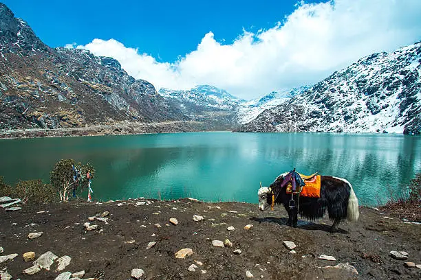 top things to explore in Sikkim: