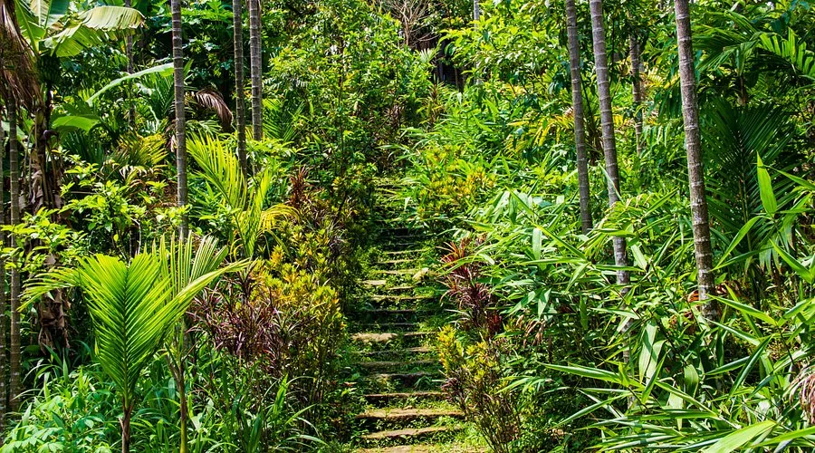 Mawlynnong: The cleanest village in Asia