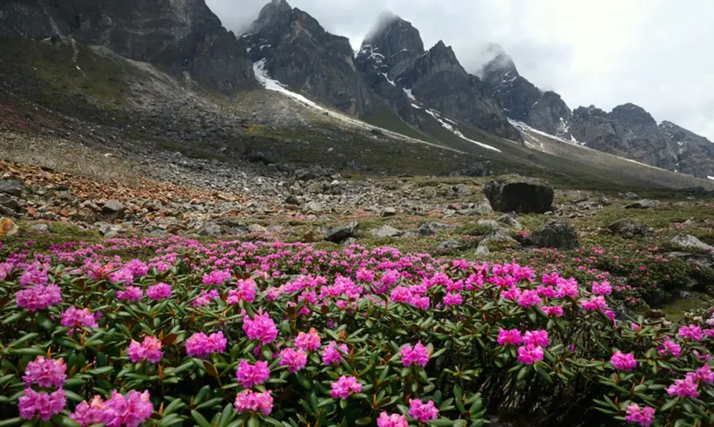 Top Things to explore in Sikkim