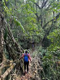 Rangthylliang Hidden Gem in Meghalaya